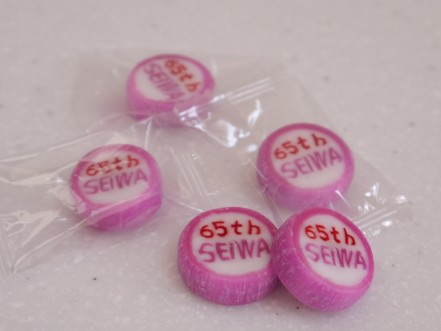 ピロー　ＳＥＩＷＡ６５周年